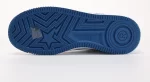 sole