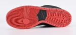 Jeff Staple x Nike SB Dunk Low TRD QS11