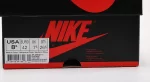 Jordan 1 Retro High Fragment