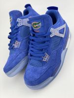 Jordan 4 Retro Florida Gators (PE)9