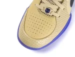 Nike Kobe 4 Protro Team Gold edition