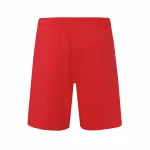 Red back side Denim Tears ESL 1619 Shorts Reps