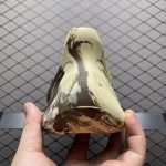 Yeezy Foam RNNR MX Cream Clay Reps